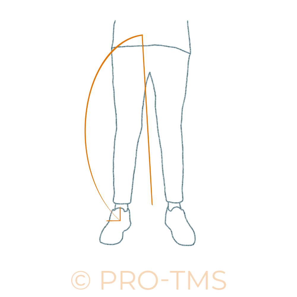 Echauffement des hanches PROTMS