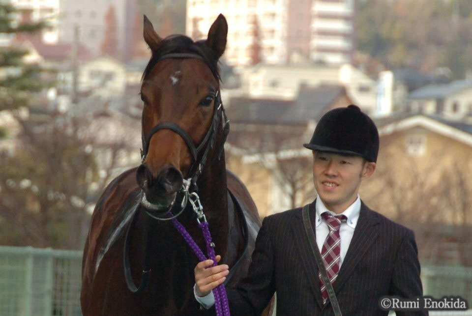 競馬 2013年 JRA 優勝馬 - 競走馬の育成牧場