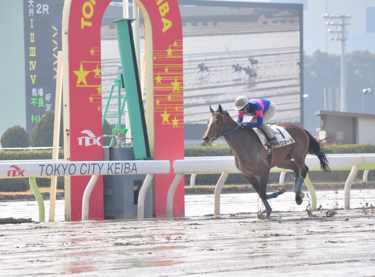 2015年 優勝馬 - 競走馬の育成牧場