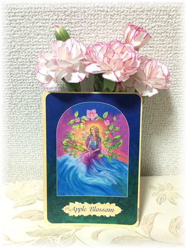 たまゆら占い（緑）パワーオブフラワーカード 11～21 メッセージ