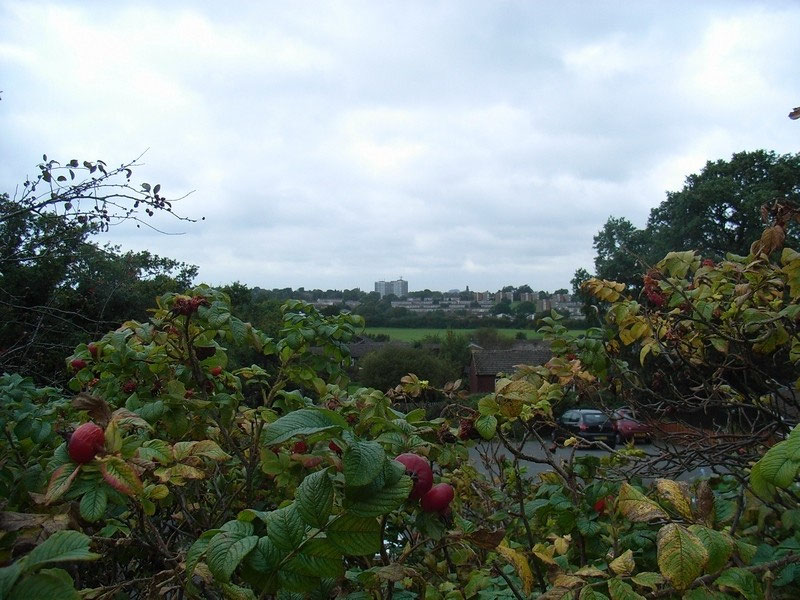The Three Estates, Kings Norton History of Birmingham Places A to Y