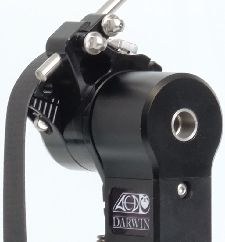 Darwin FTW ACD Unlimited Custom Drums und Hardware