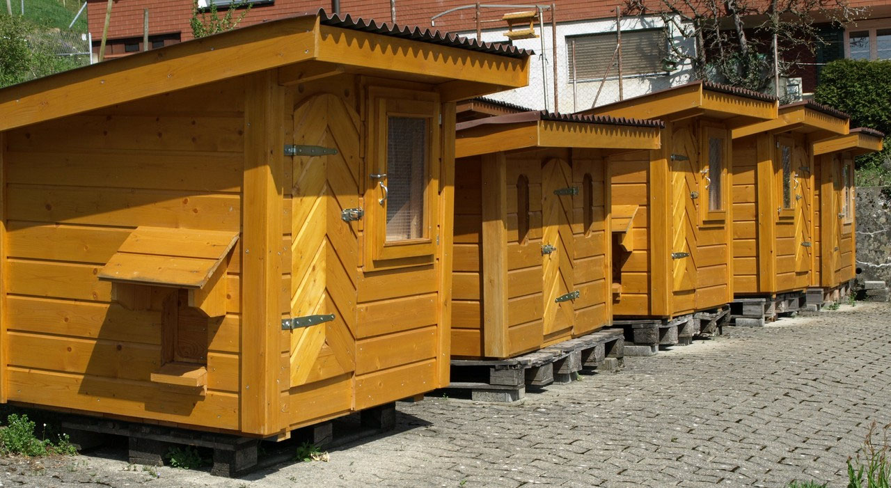 Tierschutzkonformer Hühnerstall - Geflügelzucht JUD, Kaltbrunn