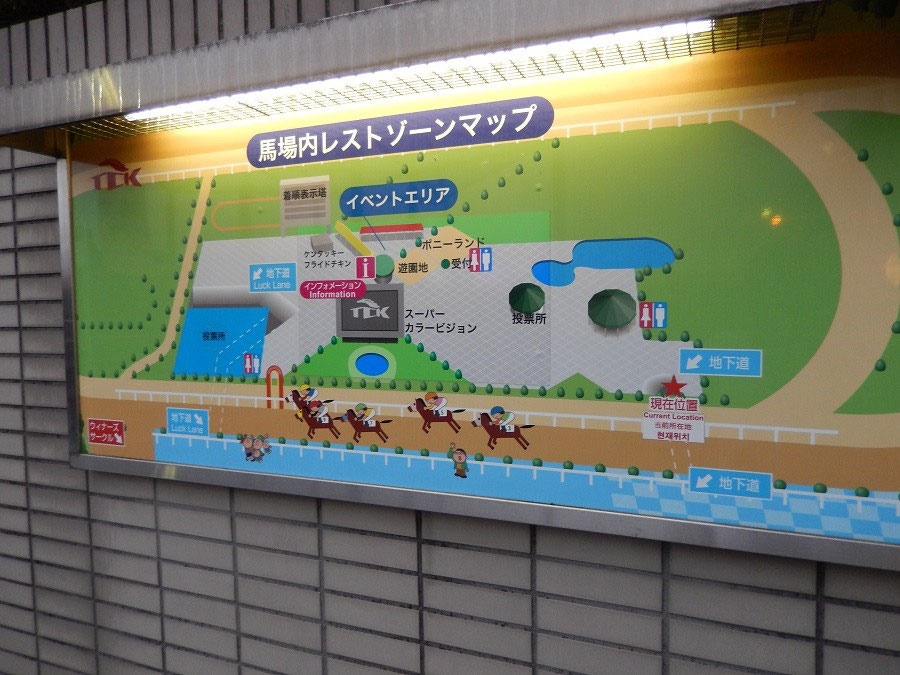 大井競馬場 内馬場行こうゼ その3 競馬場へ行く 全国競馬場漫遊記 笑いあり人情あり美味いもんあり 大井競馬場 内馬場行こうゼ その3 競馬場へ行く 全国競馬場漫遊記 笑いあり人情あり美味いもんあり