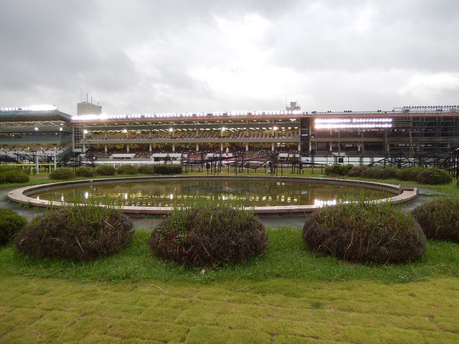 大井競馬場 内馬場行こうゼ その3 競馬場へ行く 全国競馬場漫遊記 笑いあり人情あり美味いもんあり 大井競馬場 内馬場行こうゼ その3 競馬場へ行く 全国競馬場漫遊記 笑いあり人情あり美味いもんあり
