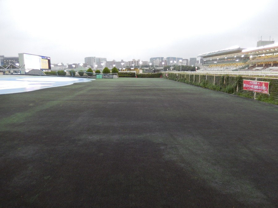 大井競馬場 内馬場行こうゼ その4 競馬場へ行く 全国競馬場漫遊記 笑いあり人情あり美味いもんあり 大井競馬場 内馬場行こうゼ その4 競馬場へ行く 全国競馬場漫遊記 笑いあり人情あり美味いもんあり
