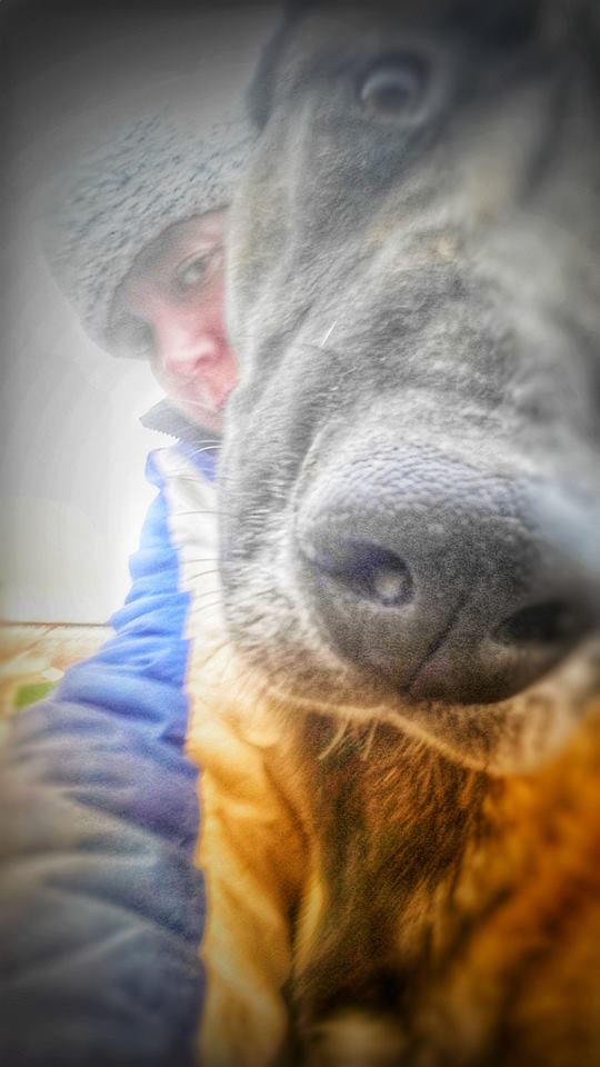 Jessie J Bussi Baby Belgische Schaferhunde Der Varietaten Malinois Und Tervueren Vom Zwinger Be Aware Aus Arbeitslinien Mit Der Abstammung Aus Alten Europaischen Blutlinien