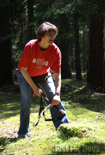 Training on Tour - Hundeerziehung ohne Stress - | mobile Hundeschule ...