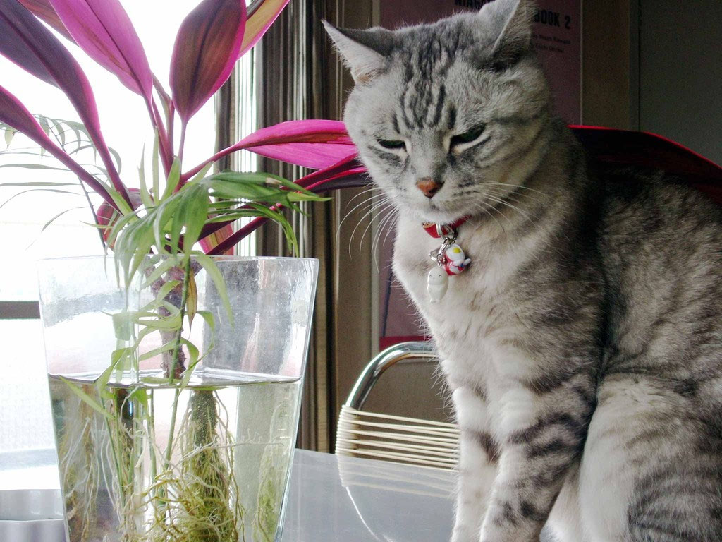 ニュース - イラストレーター河田久雄のホームページ