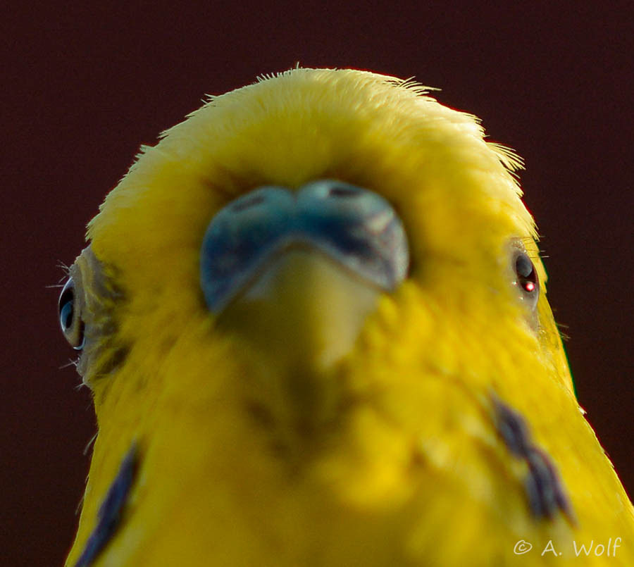 Get Trauriges auge entfernt Free