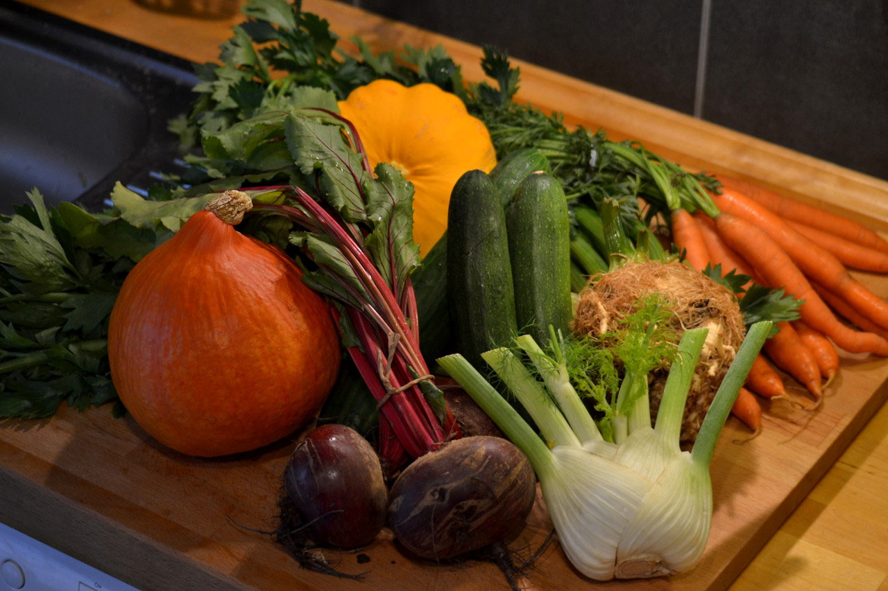 Ballaststoffe Ernährungsberatung für Katzen BARFRezepte für