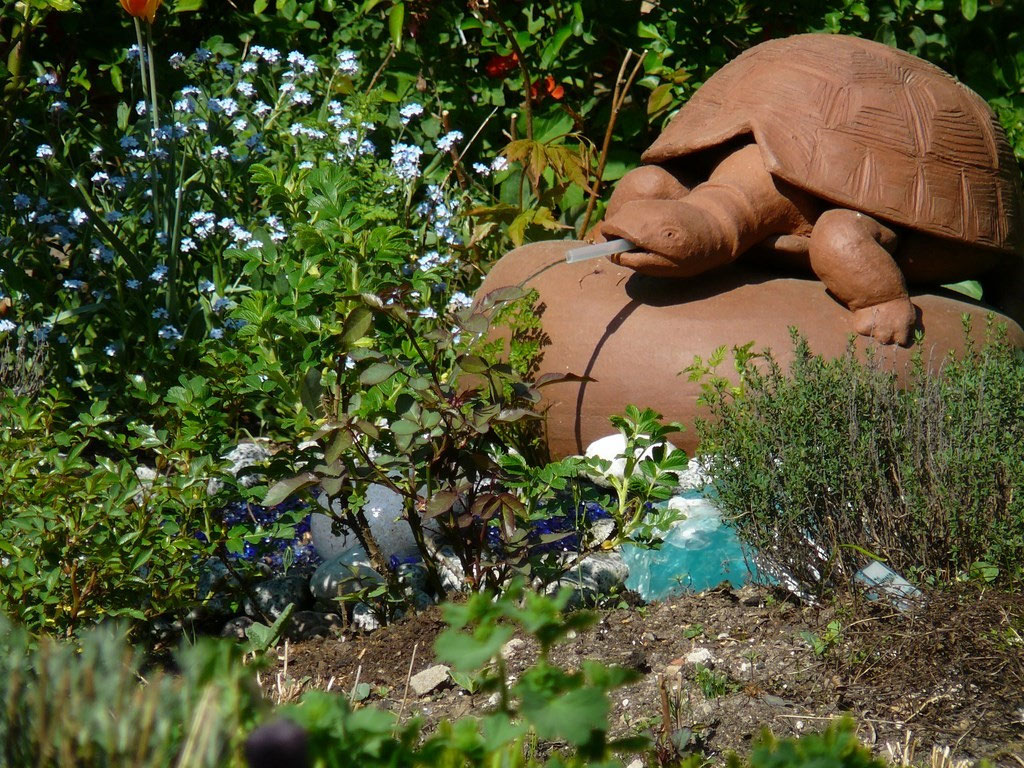 Unser Mediterraner-Garten - meiendorfer-garten-ein-blick