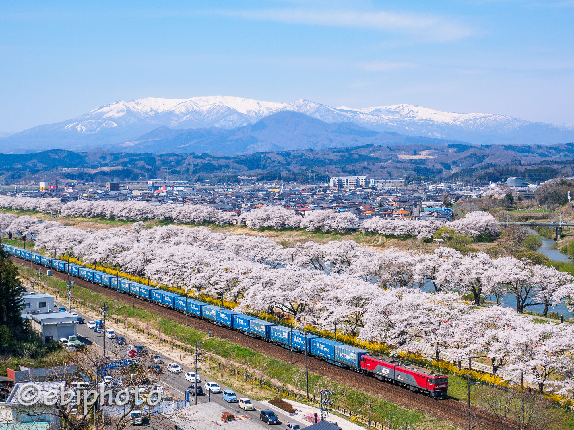 白石川堤一目千本桜と船岡城址公園の桜更新履歴