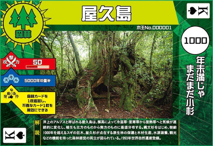 木王カード 木育森育楽会ホームページ