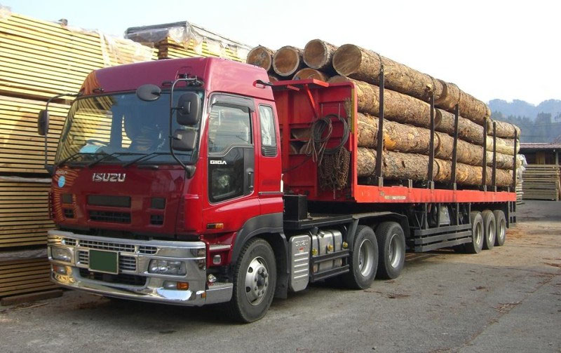 トラックプラモデル‼️いすゞギガ冷凍車‼️ Amazon | テック トラック