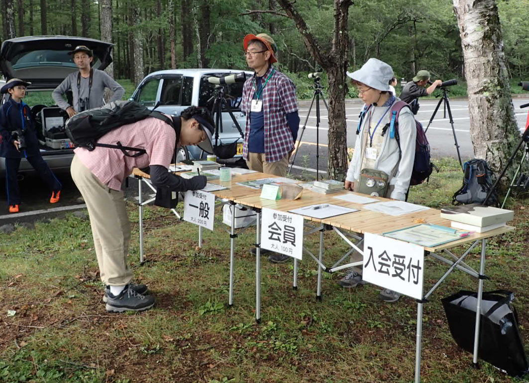 ビギナー探鳥会 日本野鳥の会栃木県支部 ビギナー探鳥会 日本野鳥の会栃木県支部