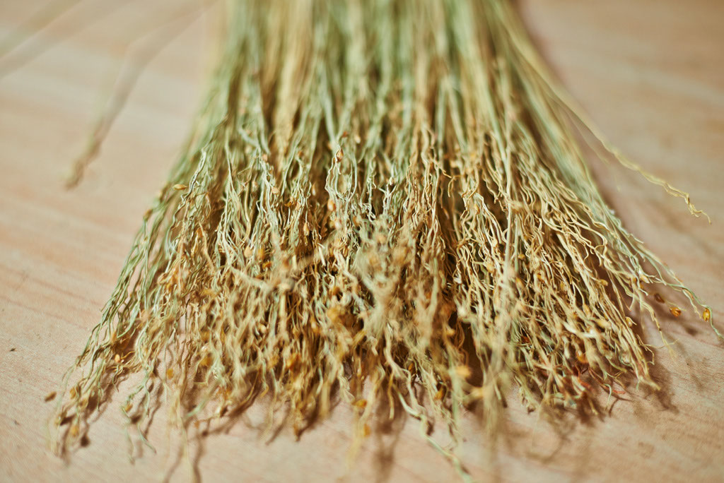 rawmaterial Percussion Brooms. Musical Instruments