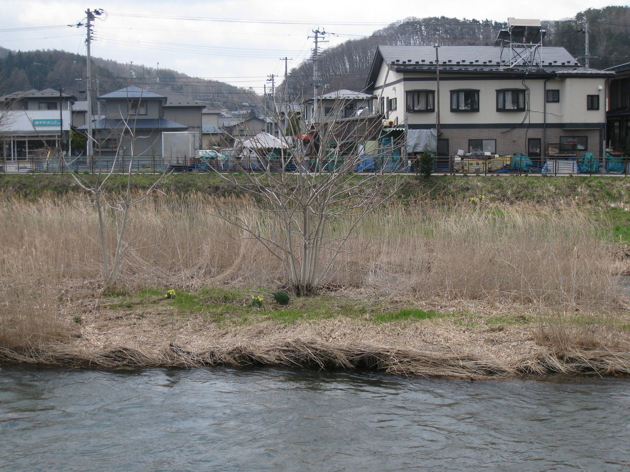 宮沢賢治とくるみ - 和グルミプロジェクト