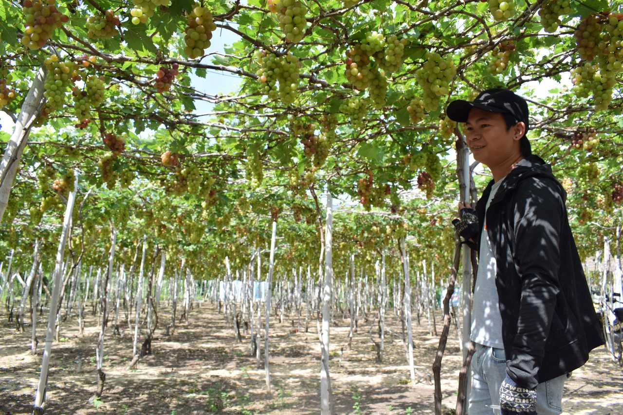 Wine tourism in Vietnam Loire Wine Tours & Tastings