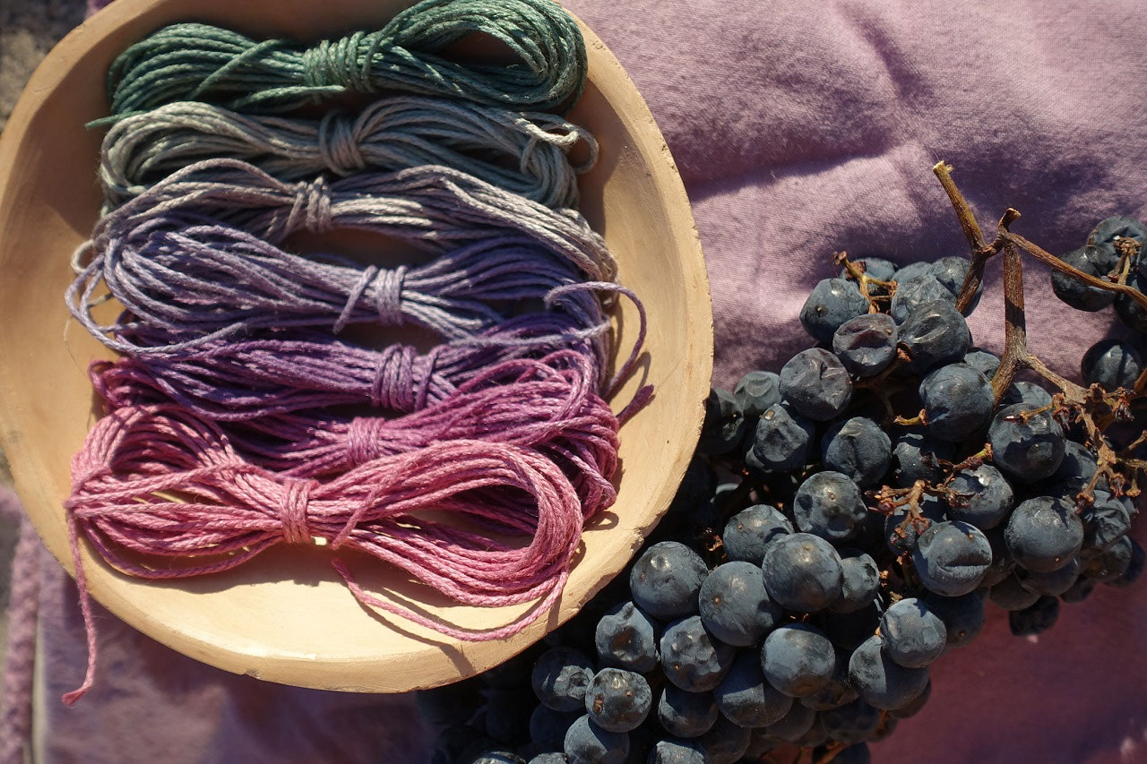 How to dye clothes with grapes Loire Wine Tours & Tastings