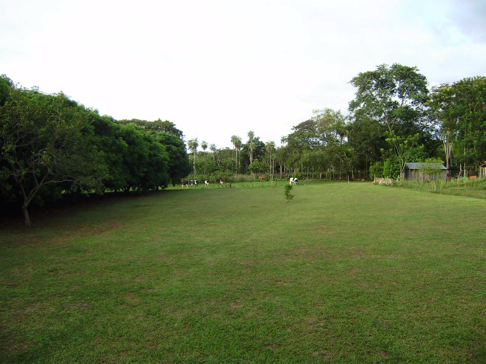 Buying Property in Paraguay Escape to Paraguay