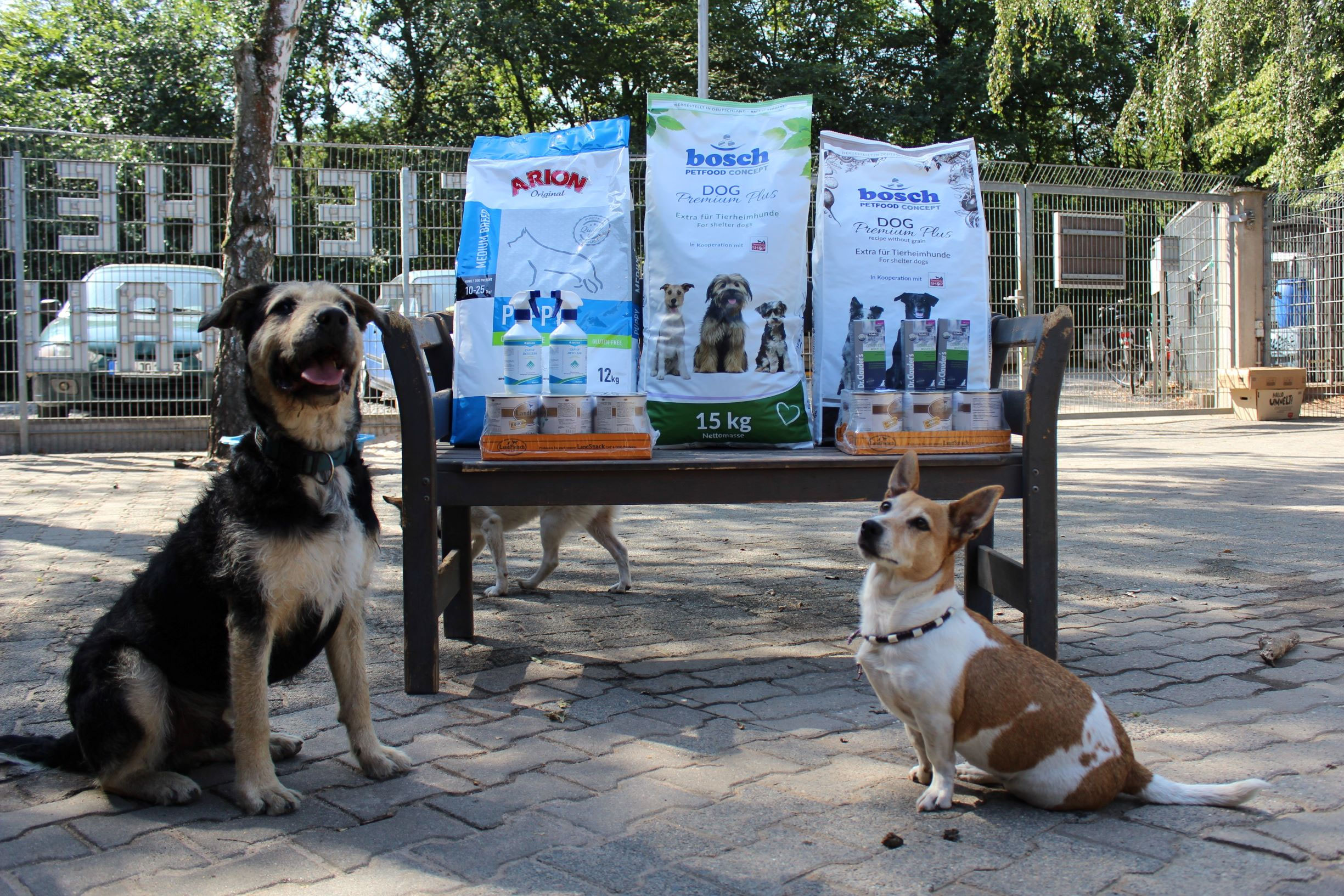 Eure Spenden sind da! Tierheim Babenhausen