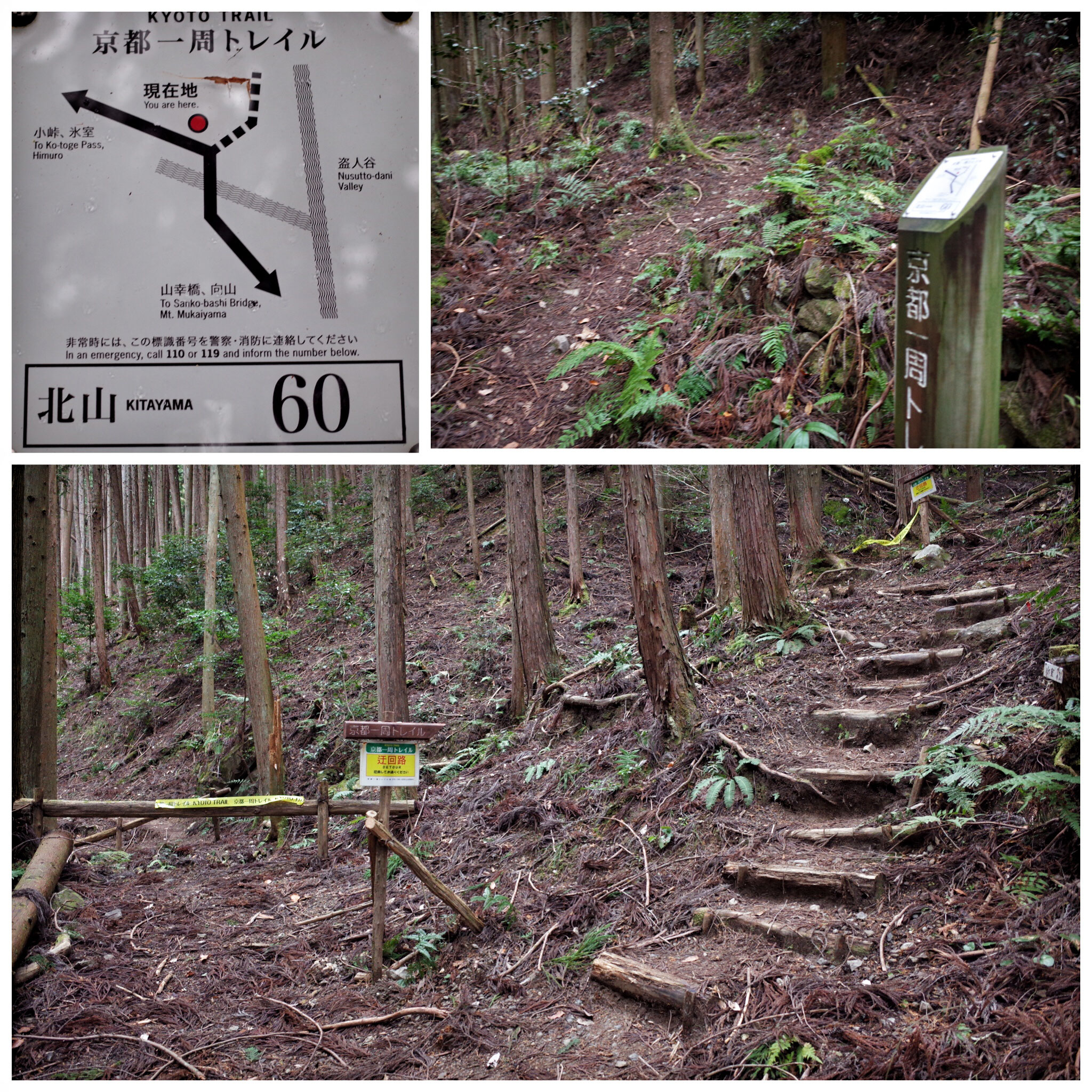 【京都一周トレイル】北山西部コースを歩いてきました 京都町家ゲストハウスひつじ庵Guest House Hitsujian 【京都一周トレイル】北山西部コースを歩いてきました 京都町家ゲストハウスひつじ庵Guest House Hitsujian