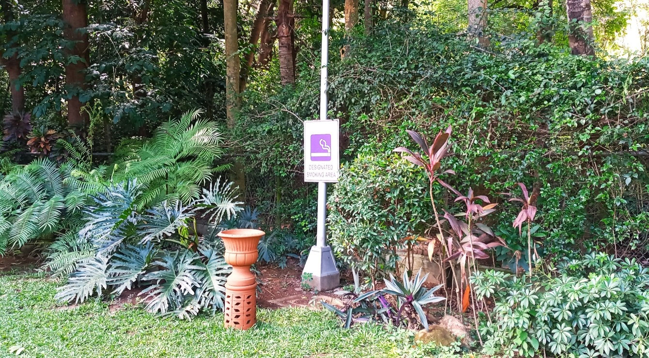 PURPLE FARM in Dinalupihan, Bataan Expressions