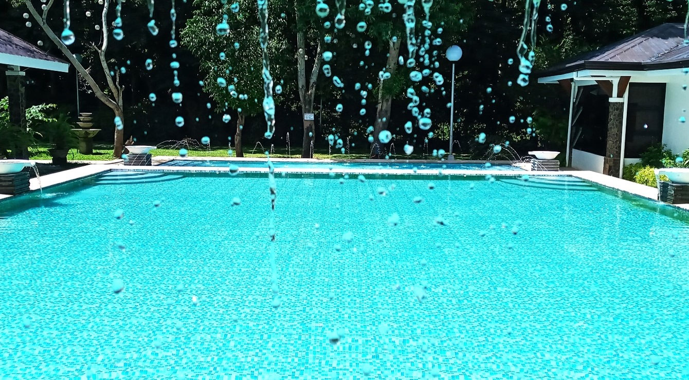 PURPLE FARM in Dinalupihan, Bataan Expressions