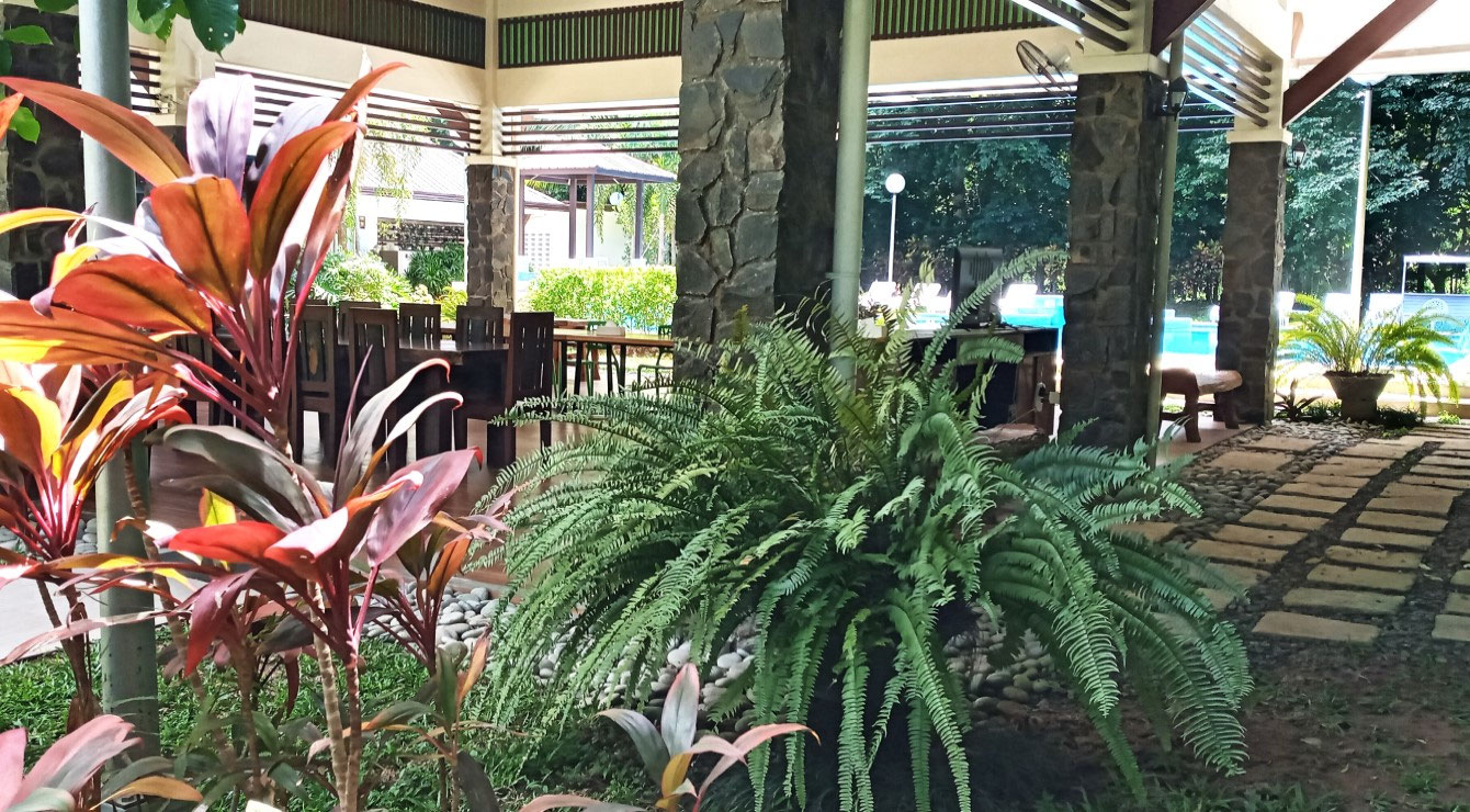 PURPLE FARM in Dinalupihan, Bataan Expressions