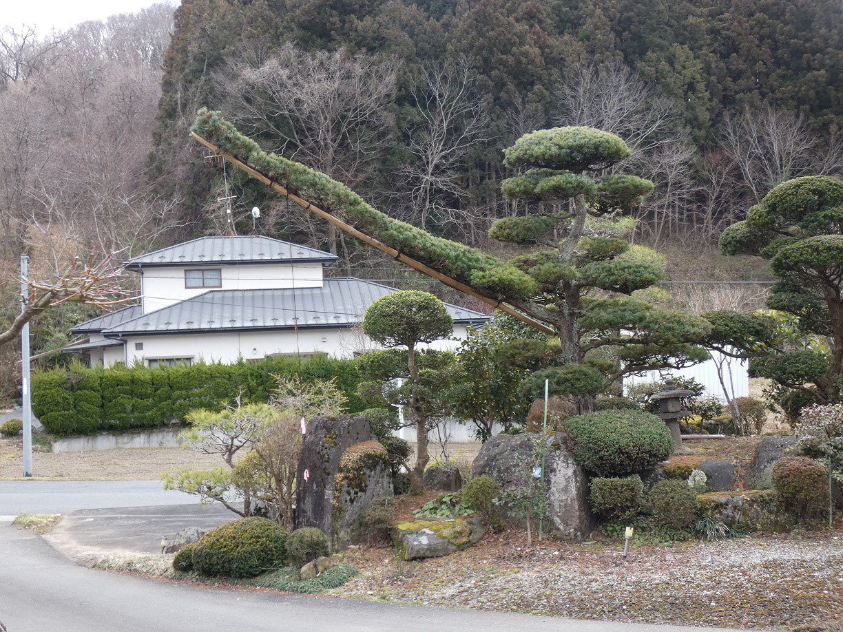 門かぶり松 の世界 いちのせき市民活動センター 門かぶり松 の世界 いちのせき市民活動センター