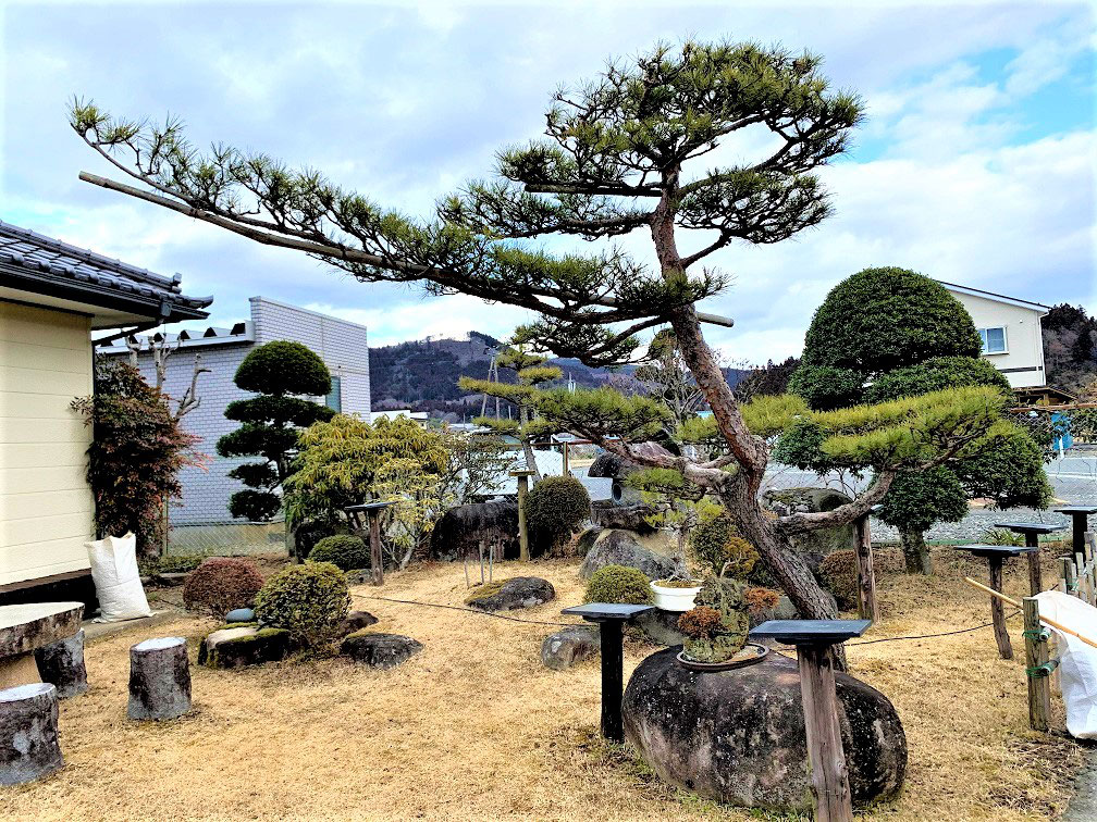 門かぶり松 の世界 いちのせき市民活動センター 門かぶり松 の世界 いちのせき市民活動センター