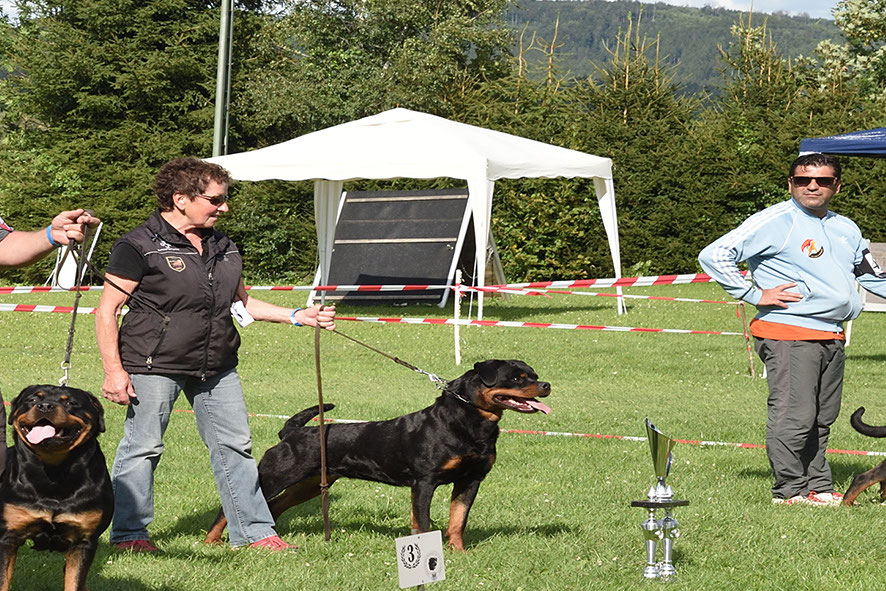 14. Reichsstadtschau 2023 Bezirksgruppe Rottweil und Umgebung e.V.