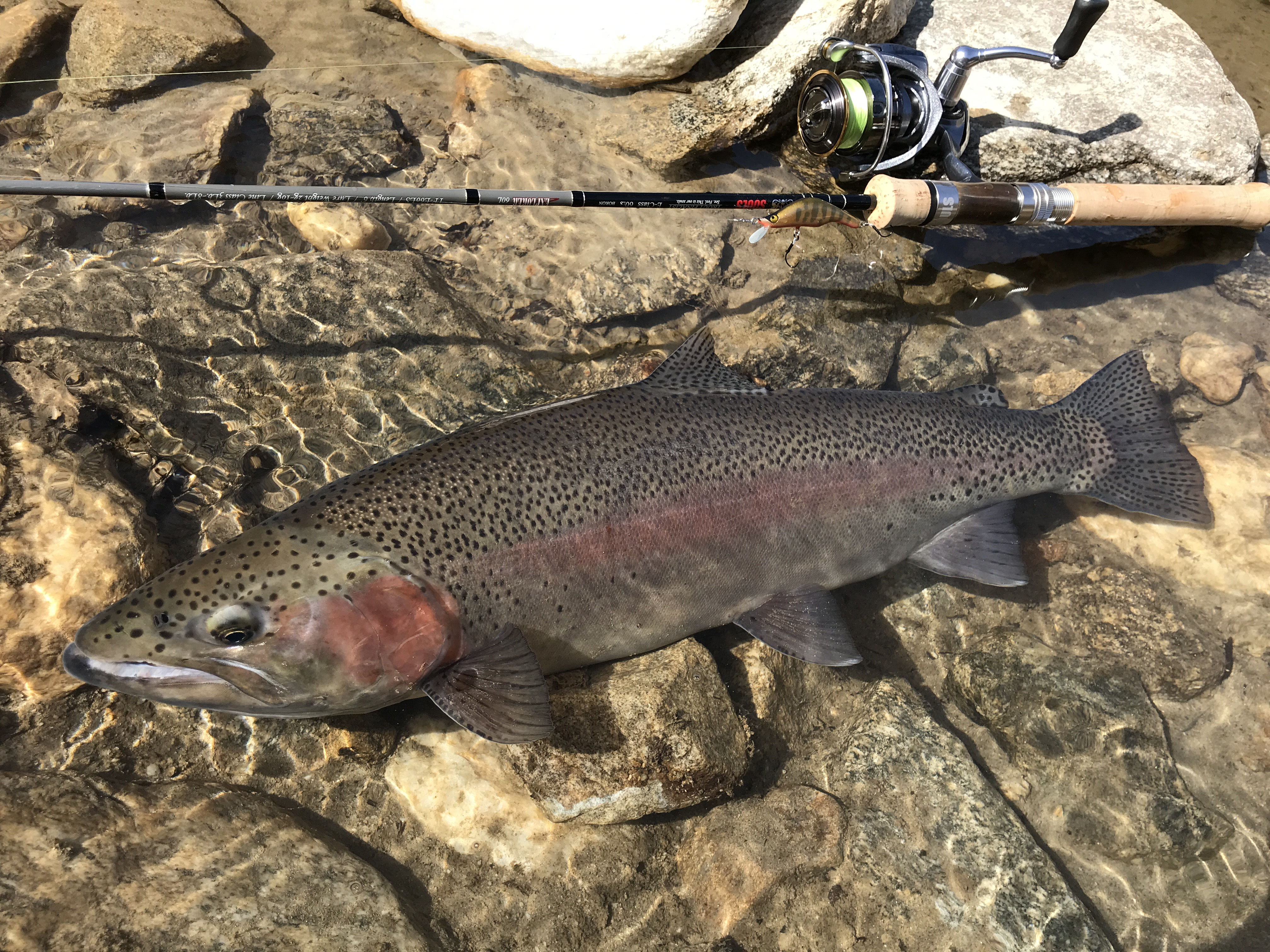 投稿写真19 Handmade Lure Studio Morh Jimdoページ