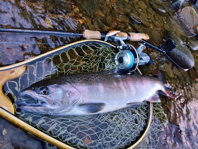 Honnami Rod ホンナミロッド 502ULヤマメ彫り新品未使用品 Honnami Rod ホンナミロッド 502ULヤマメ彫り新品未使用品 2025