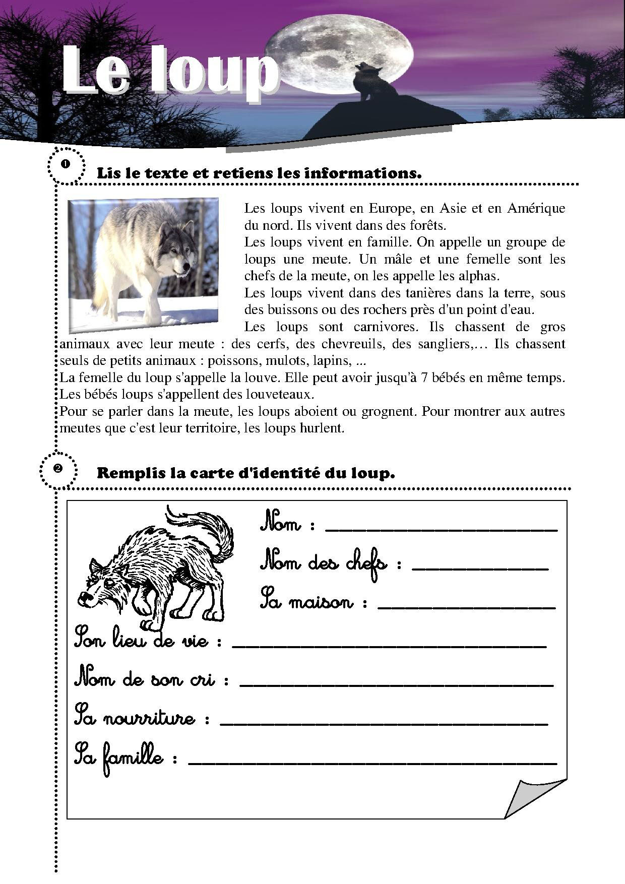 L Oeil Du Loup Questionnaire Corrigé A la découverte du loup - Fiches de préparations (cycle1-cycle 2-ULIS)