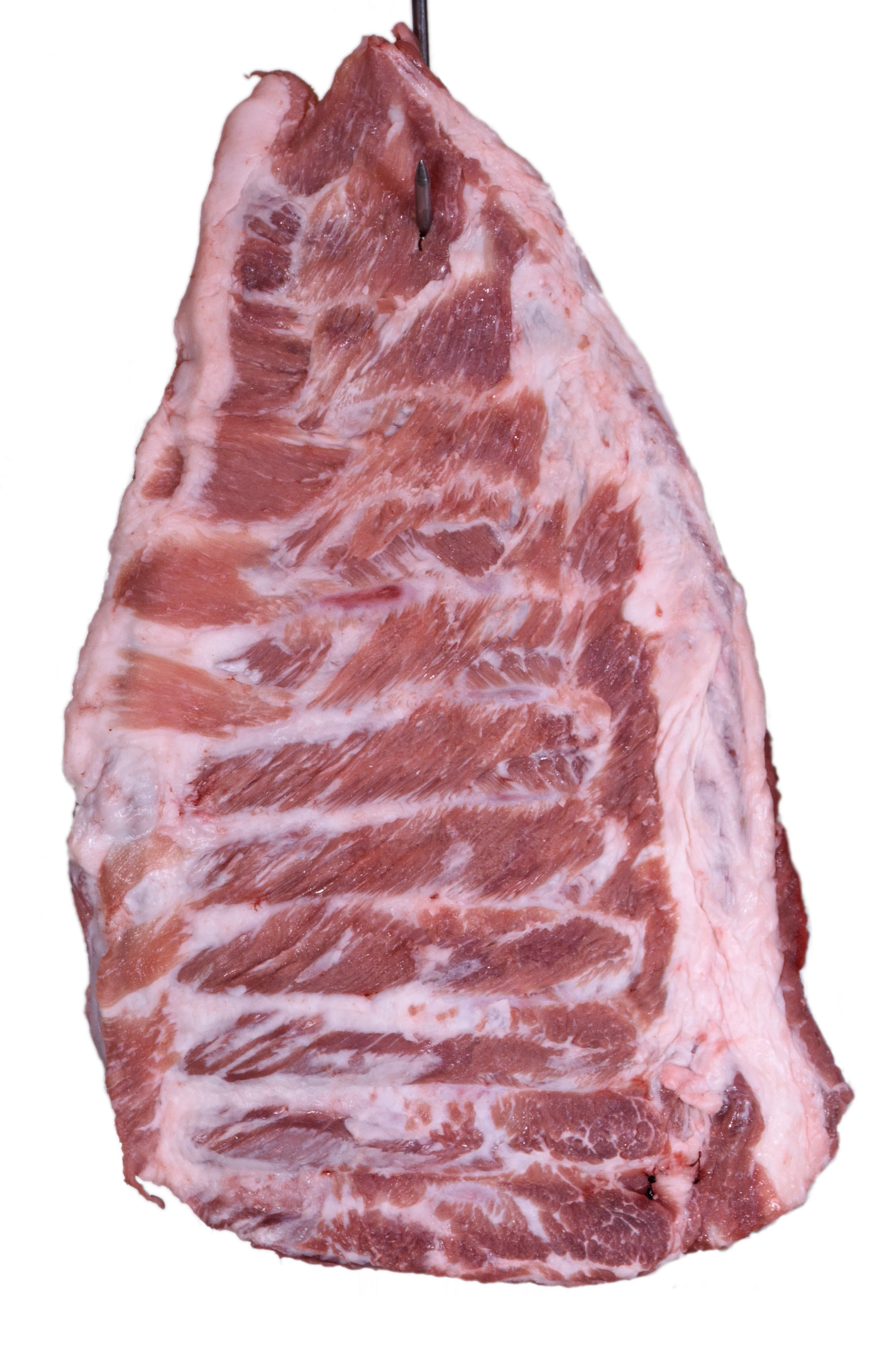 Fresh pork meats - Salumi Marini - Tagliacozzo