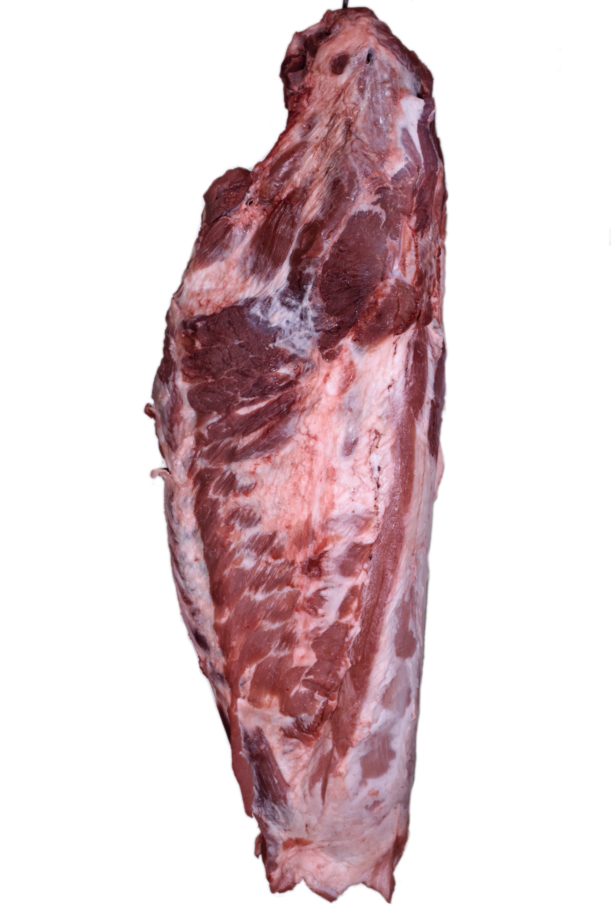 Fresh pork meats - Salumi Marini - Tagliacozzo