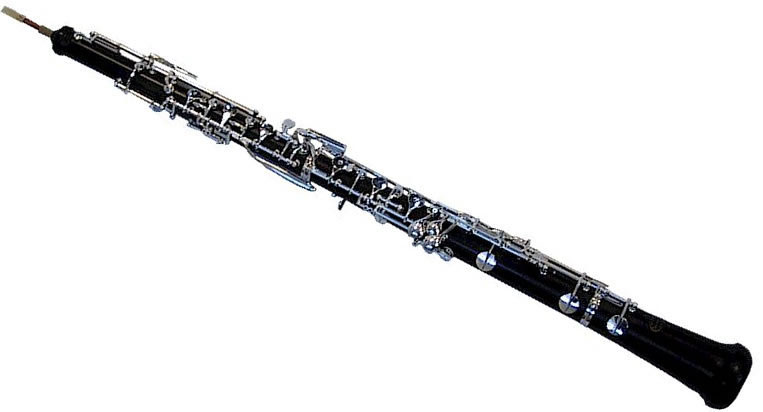 Kann Ich Beim Mvk Ein Instrument Lernen Musikverein 10 Kirchberg E V