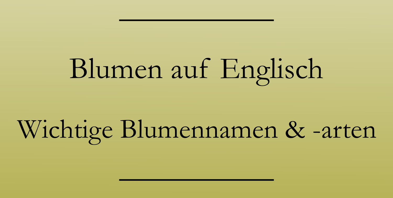 Blumen auf Englisch Liste der Blumennamen Englisch lernen