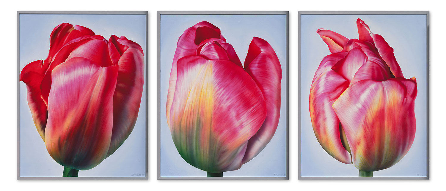 Jean Pierre Kunkel kunstmallorcas seite!