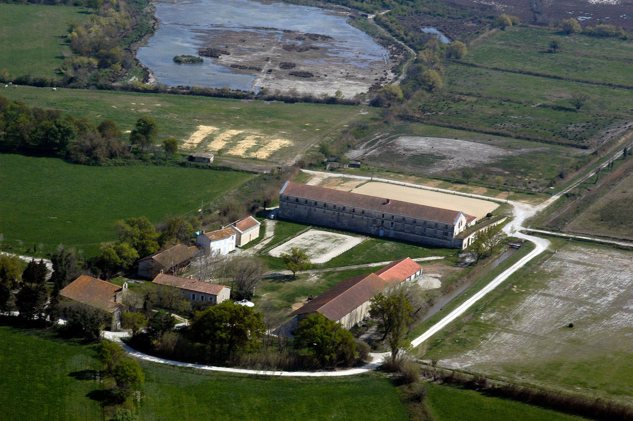 Mas De La Cure Saintes Maries De La Mer