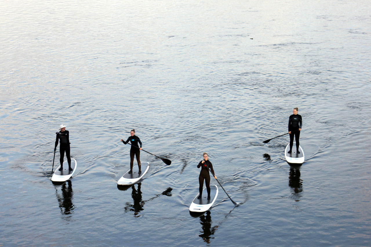Stand up paddling Abendtour durch Dresden WINDSURFEN DRESDEN