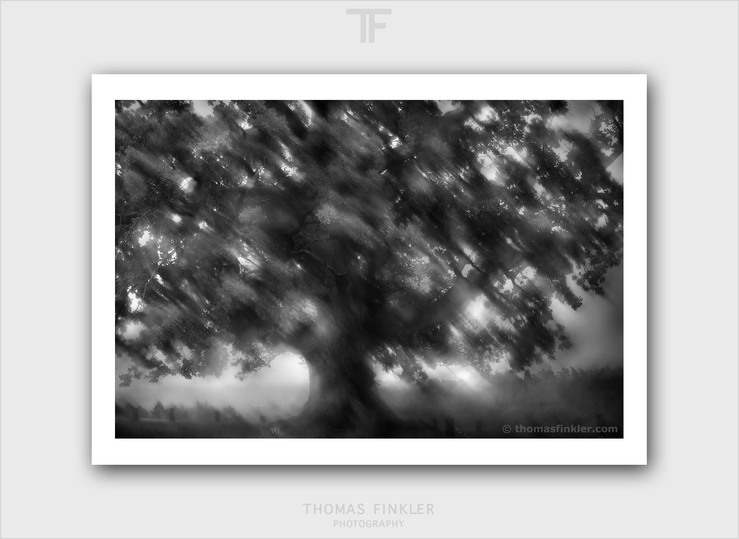 Gallery Monochrome Digital Watercolors Thomas Finkler Photography