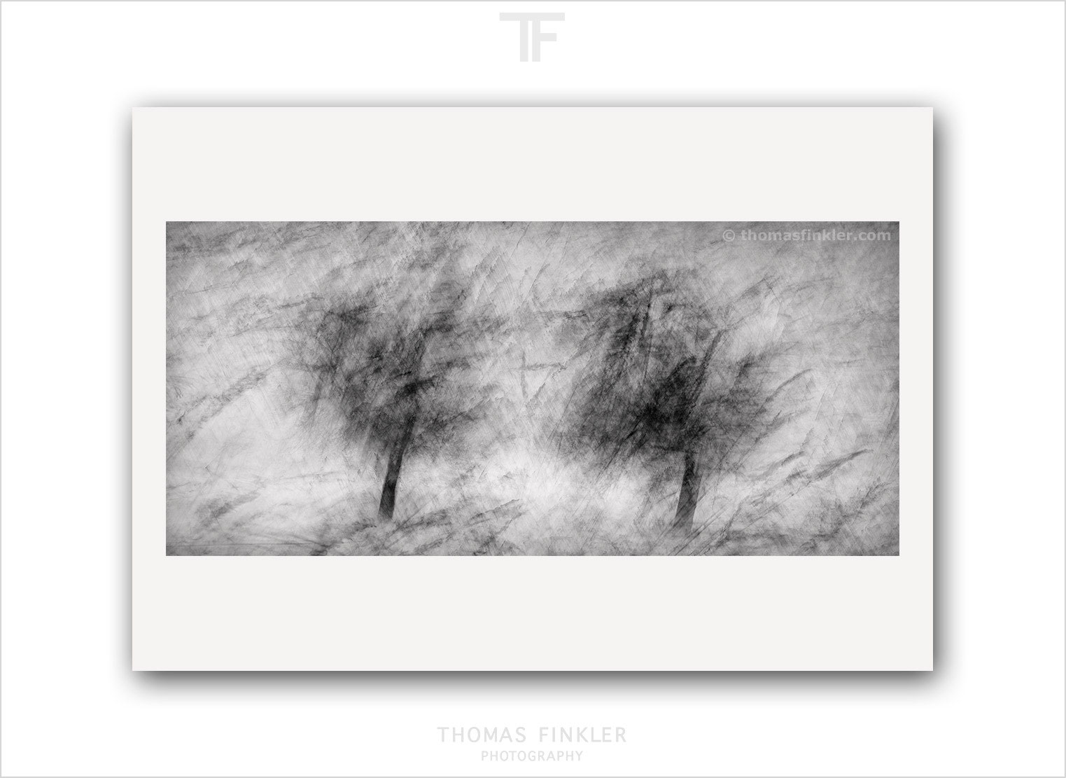 Gallery Monochrome | Blurry Trees - Thomas Finkler Photography