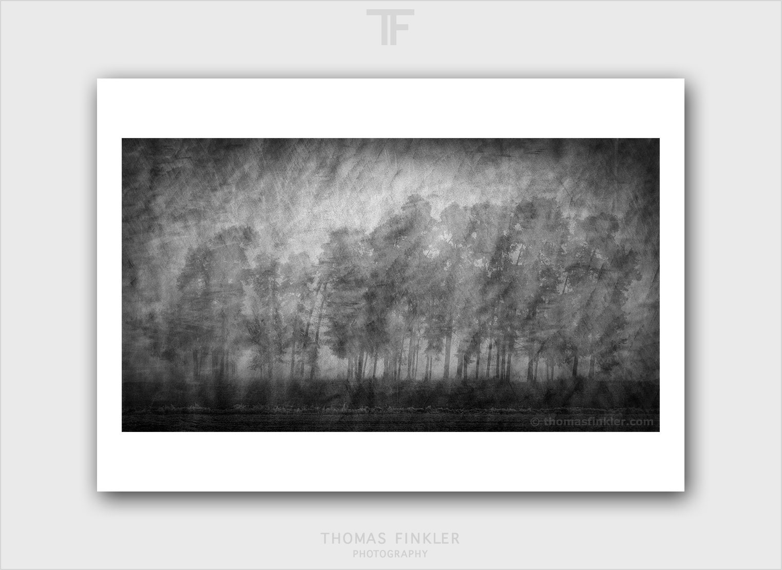 Gallery Monochrome Franconian Tranquility Thomas Finkler Photography