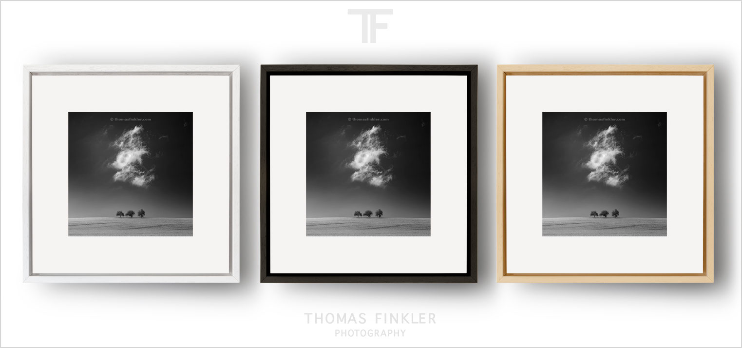 Framed Prints Circle and Square Thomas Finkler Photography