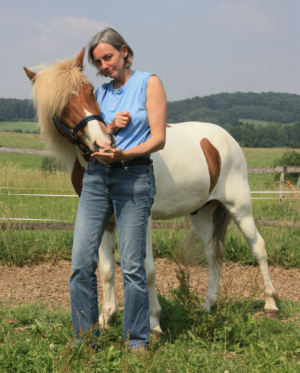 Finding a soul horse's successor Icelandic Horse Diary