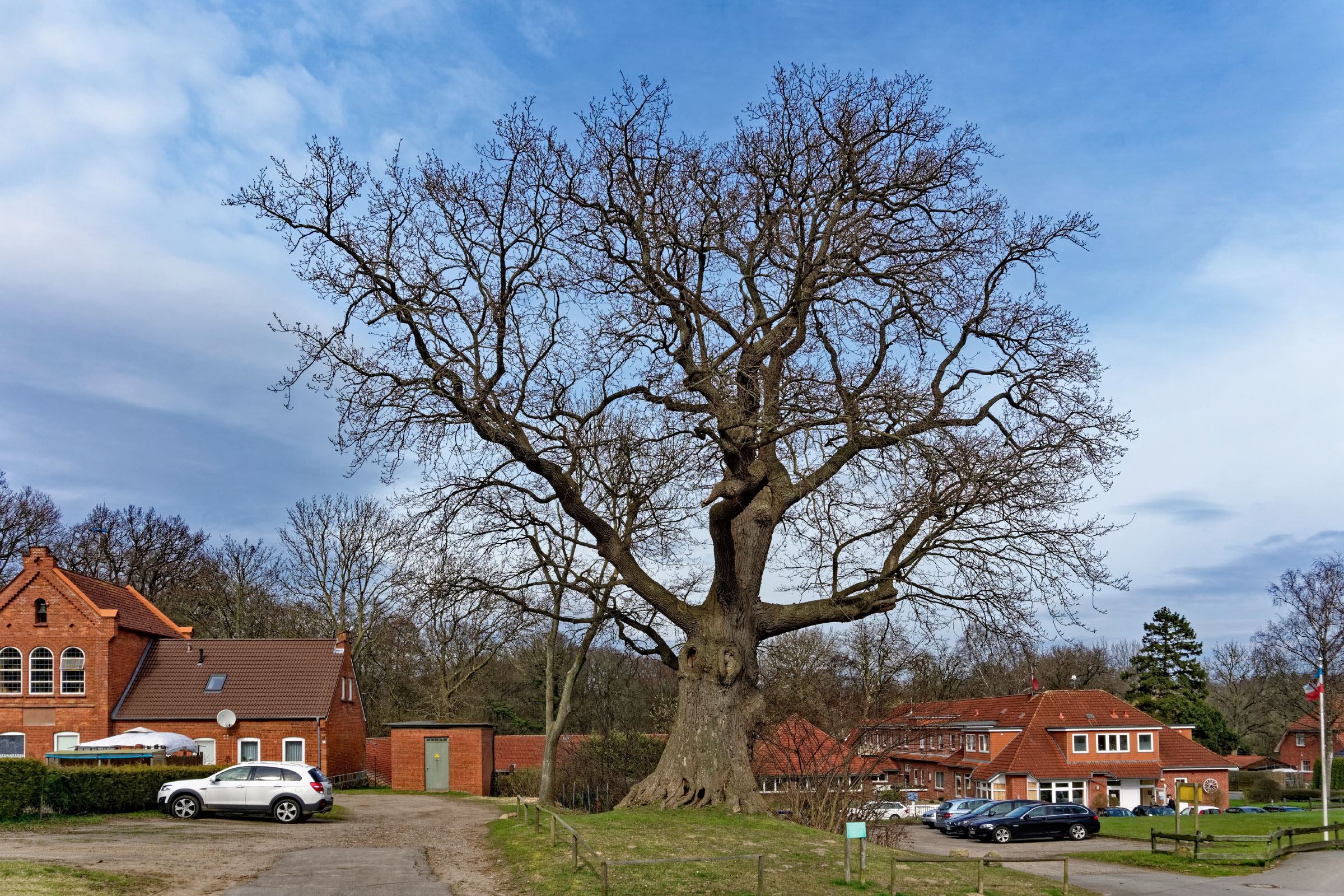 Get Staerke auf daenisch Free HD Staerke Auf Daenisch