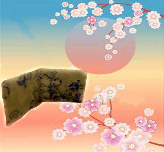 Portafoglio Monofoglio Benvenuti Su Tuttojapan